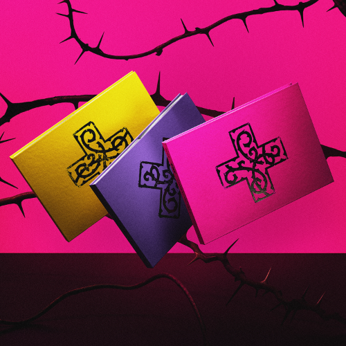 8th Mini Album [7TH YEAR : 가시덤불에 잠시 바람이 멈췄을 때]